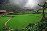 BẢO VỆ MÔI TRƯỜNG